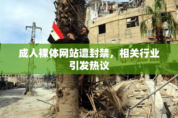 成人裸体网站遭封禁，相关行业引发热议