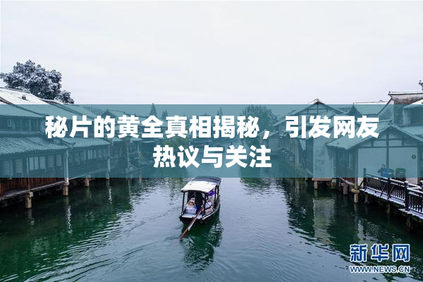 秘片的黄全真相揭秘，引发网友热议与关注