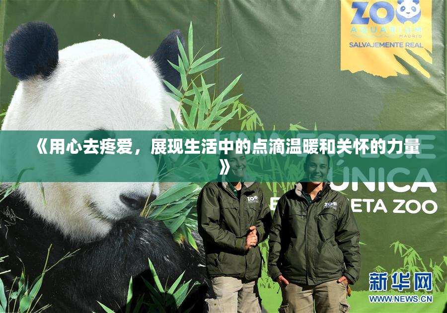 《用心去疼爱，展现生活中的点滴温暖和关怀的力量》