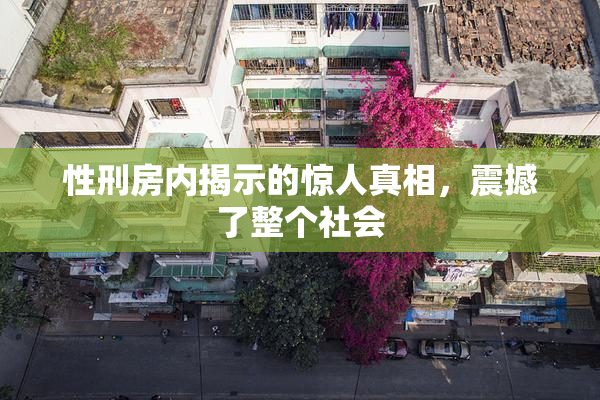性刑房内揭示的惊人真相，震撼了整个社会