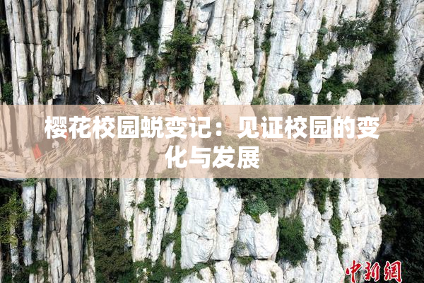樱花校园蜕变记：见证校园的变化与发展