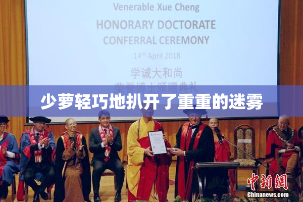 少萝轻巧地扒开了重重的迷雾