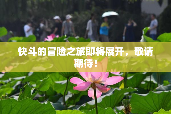 快斗的冒险之旅即将展开，敬请期待！