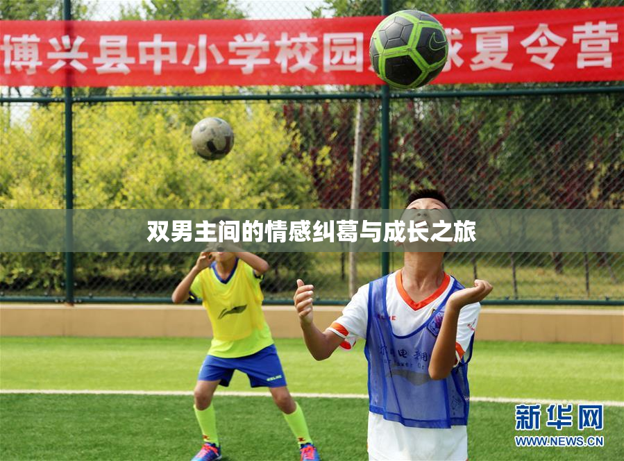 双男主间的情感纠葛与成长之旅
