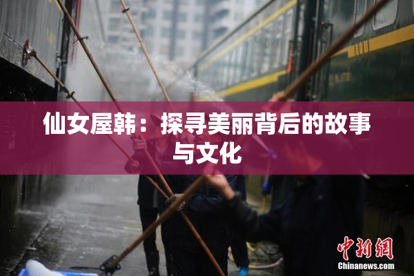 仙女屋韩：探寻美丽背后的故事与文化
