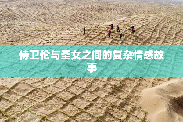 侍卫伦与圣女之间的复杂情感故事