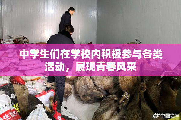 中学生们在学校内积极参与各类活动，展现青春风采