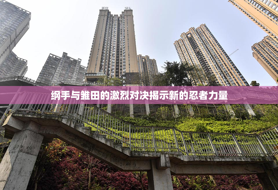 纲手与雏田的激烈对决揭示新的忍者力量