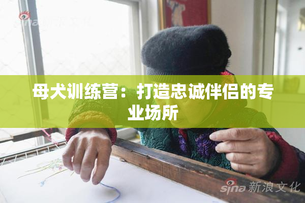 母犬训练营：打造忠诚伴侣的专业场所