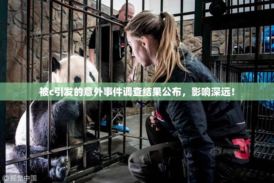 被c引发的意外事件调查结果公布，影响深远！
