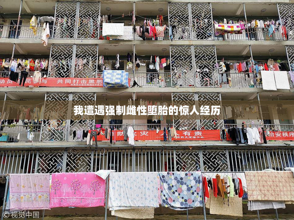 我遭遇强制雌性堕胎的惊人经历