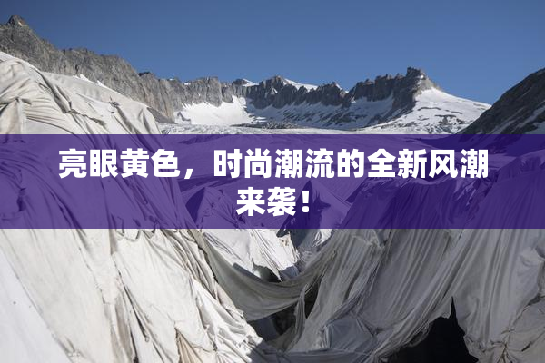 亮眼黄色，时尚潮流的全新风潮来袭！