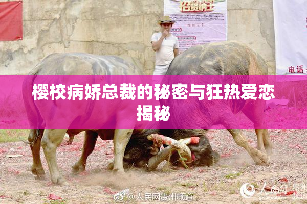 樱校病娇总裁的秘密与狂热爱恋揭秘