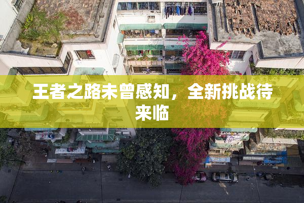 王者之路未曾感知，全新挑战待来临