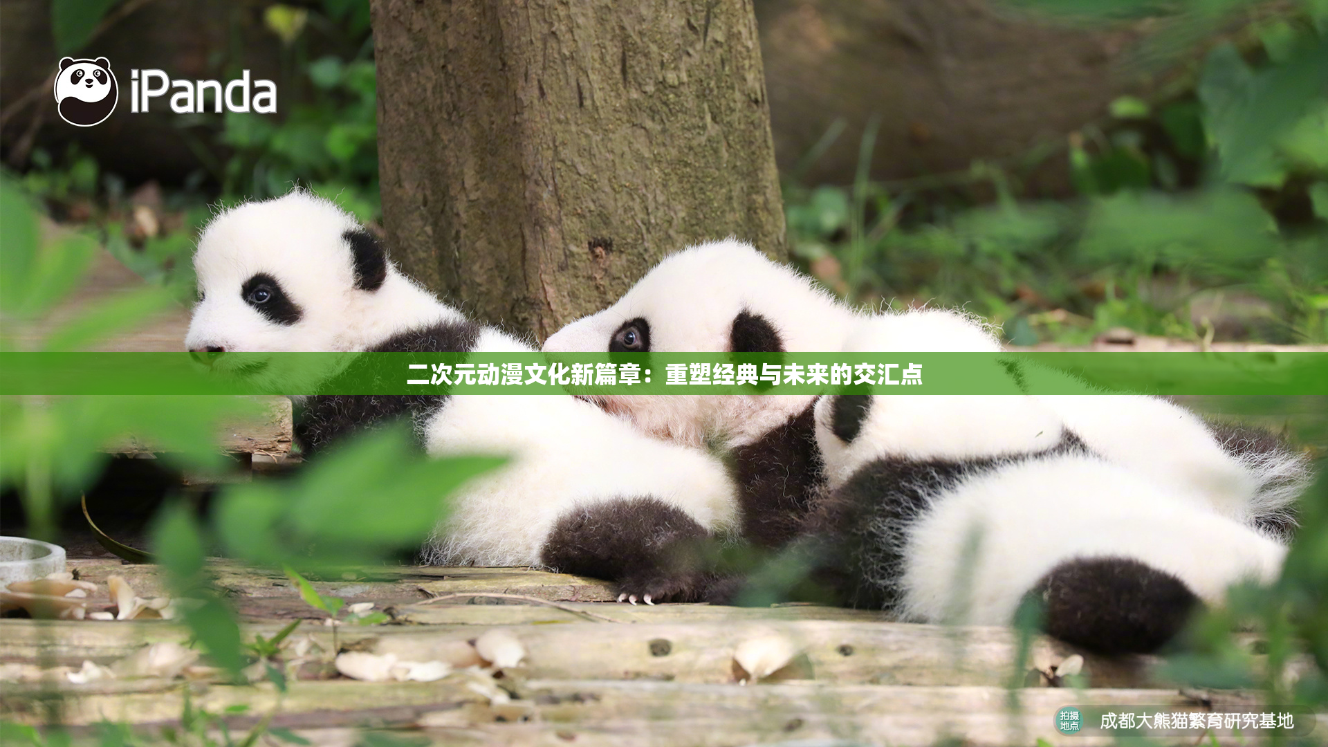 二次元动漫文化新篇章：重塑经典与未来的交汇点