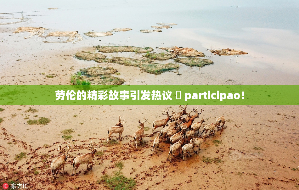 劳伦的精彩故事引发热议 偦 participao！
