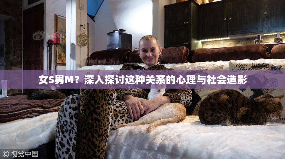 女S男M？深入探讨这种关系的心理与社会造影