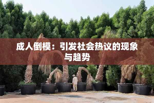 成人倒模：引发社会热议的现象与趋势