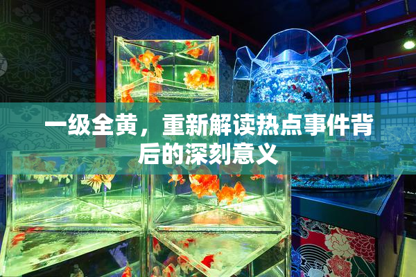 一级全黄，重新解读热点事件背后的深刻意义