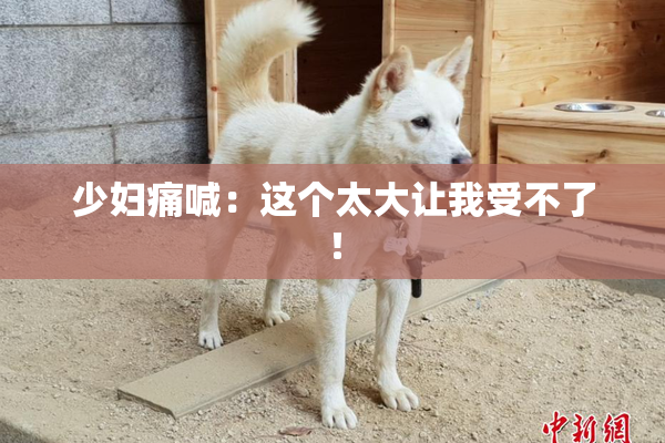少妇痛喊：这个太大让我受不了！