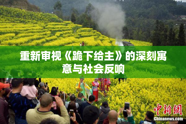 重新审视《跪下给主》的深刻寓意与社会反响