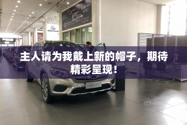 主人请为我戴上新的帽子，期待精彩呈现！
