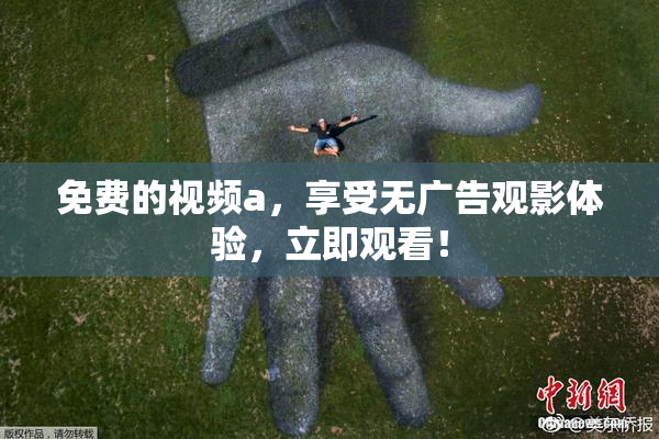 免费的视频a，享受无广告观影体验，立即观看！