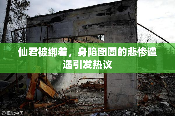 仙君被绑着，身陷囹圄的悲惨遭遇引发热议