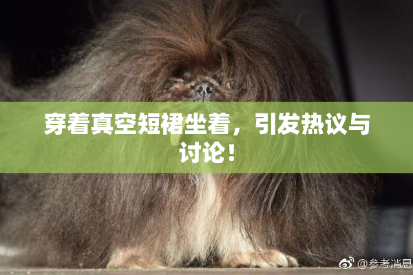 穿着真空短裙坐着，引发热议与讨论！