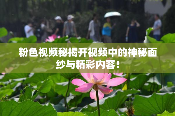 粉色视频秘揭开视频中的神秘面纱与精彩内容！