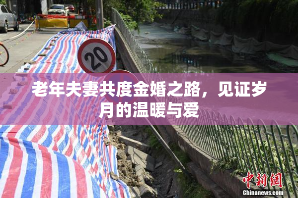 老年夫妻共度金婚之路，见证岁月的温暖与爱