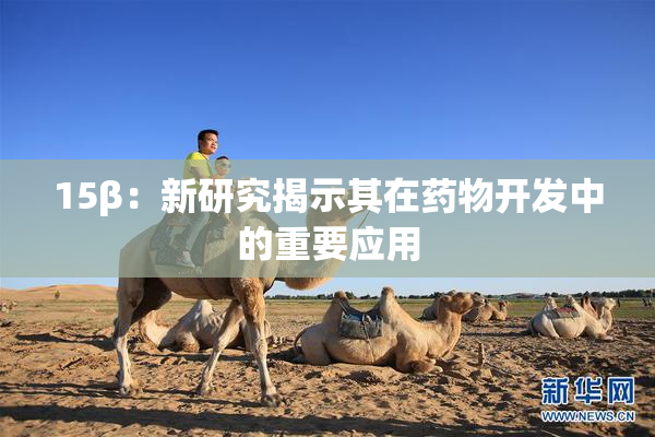 15β：新研究揭示其在药物开发中的重要应用