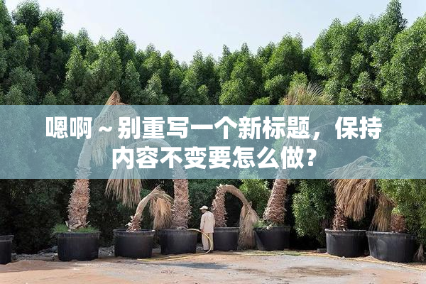 嗯啊～别重写一个新标题，保持内容不变要怎么做？