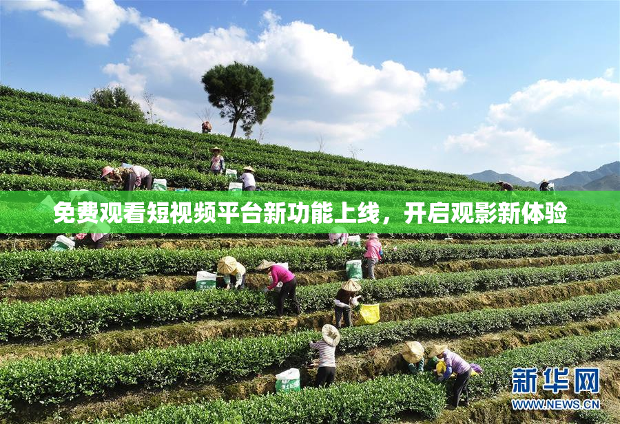 免费观看短视频平台新功能上线，开启观影新体验