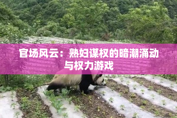 官场风云：熟妇谋权的暗潮涌动与权力游戏