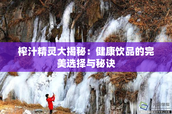 榨汁精灵大揭秘：健康饮品的完美选择与秘诀