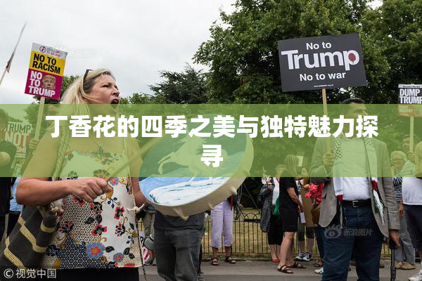 丁香花的四季之美与独特魅力探寻