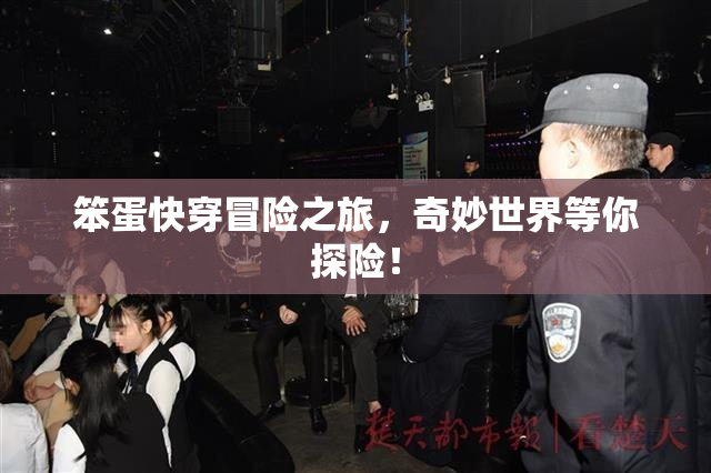 笨蛋快穿冒险之旅，奇妙世界等你探险！