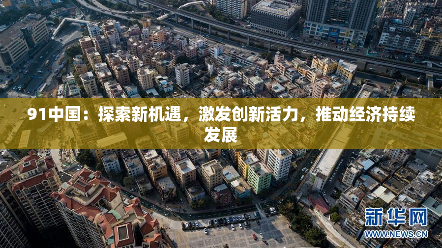 91中国：探索新机遇，激发创新活力，推动经济持续发展