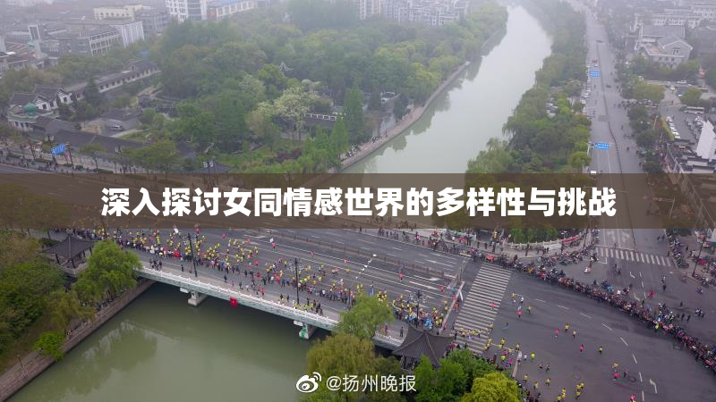 深入探讨女同情感世界的多样性与挑战