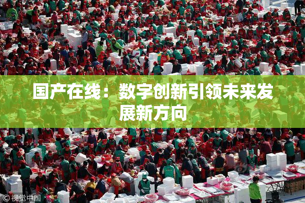 国产在线：数字创新引领未来发展新方向