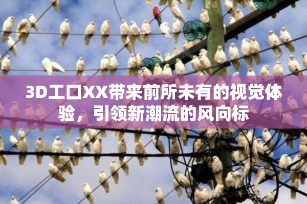 3D工口XX带来前所未有的视觉体验，引领新潮流的风向标