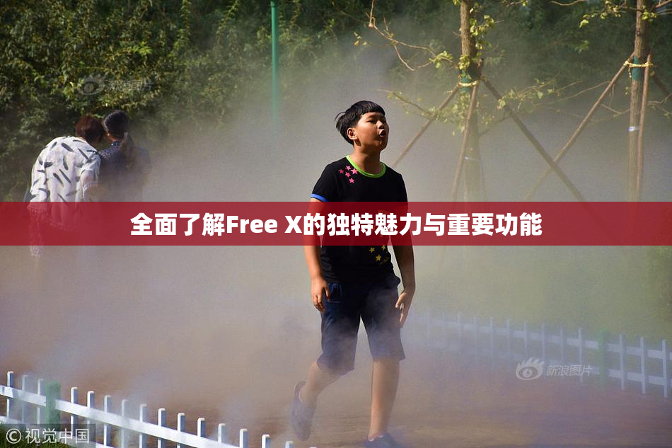 全面了解Free X的独特魅力与重要功能