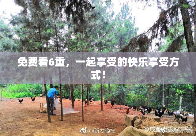 免费看6重，一起享受的快乐享受方式！