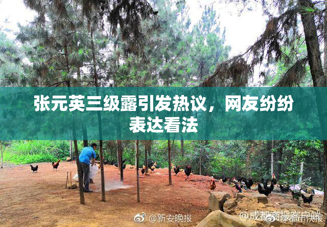 张元英三级露引发热议，网友纷纷表达看法