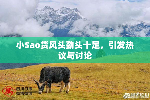 小Sao货风头劲头十足，引发热议与讨论