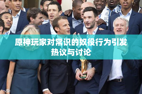 原神玩家对常识的奴役行为引发热议与讨论