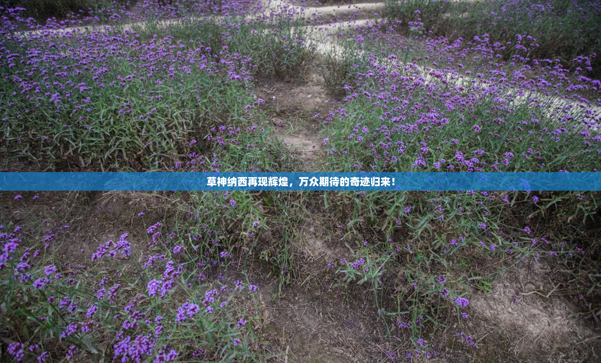 草神纳西再现辉煌，万众期待的奇迹归来！