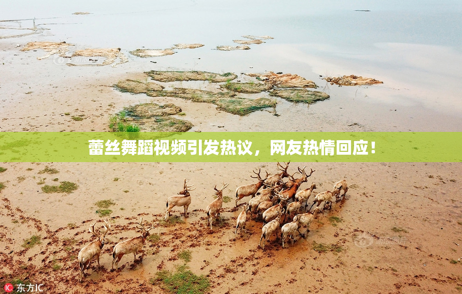 蕾丝舞蹈视频引发热议，网友热情回应！