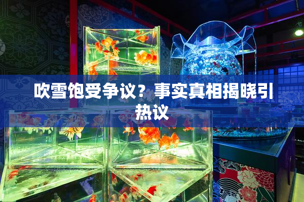 吹雪饱受争议？事实真相揭晓引热议